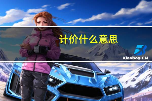 计价什么意思