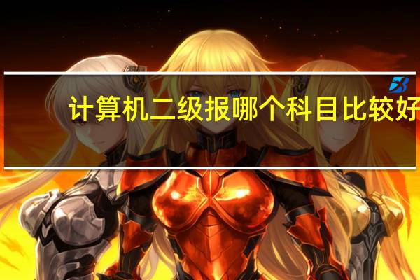 计算机二级报哪个科目比较好