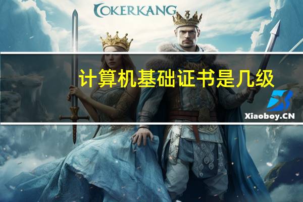 计算机基础证书是几级