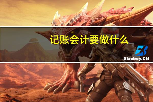 记账会计要做什么