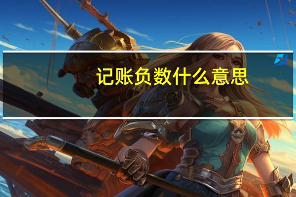 记账负数什么意思