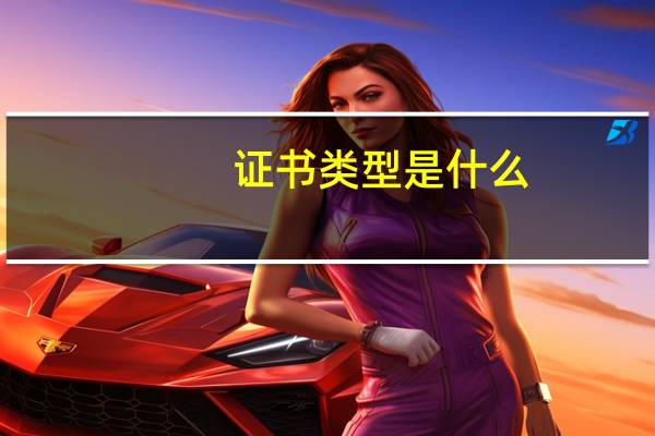 证书类型是什么