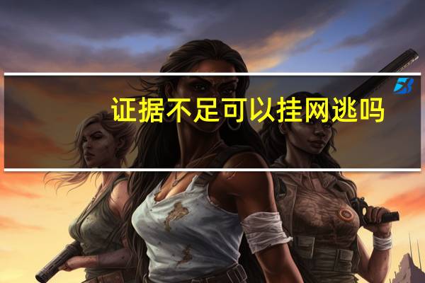 证据不足可以挂网逃吗