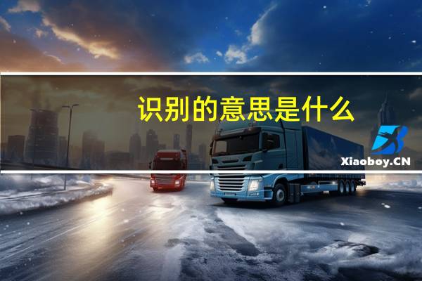 识别的意思是什么