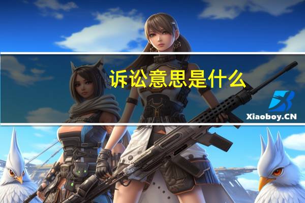 诉讼意思是什么