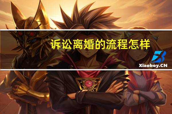 诉讼离婚的流程怎样