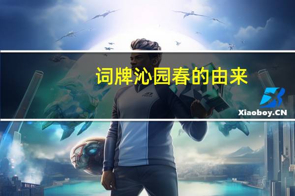 词牌沁园春的由来
