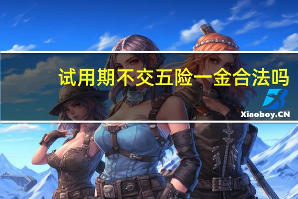试用期不交五险一金合法吗