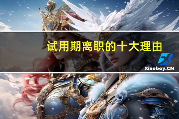 试用期离职的十大理由