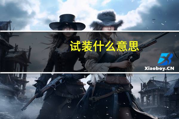 试装什么意思