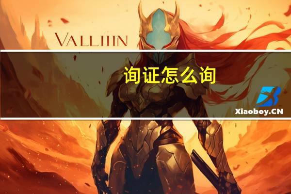 询证怎么询