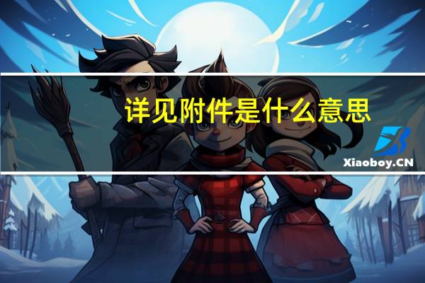 详见附件是什么意思