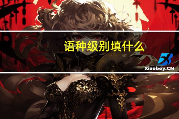 语种级别填什么