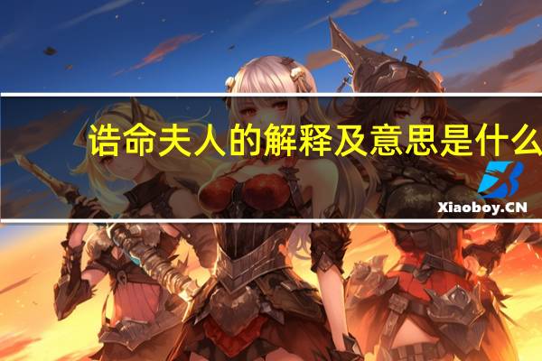 诰命夫人的解释及意思是什么