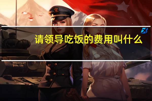 请领导吃饭的费用叫什么