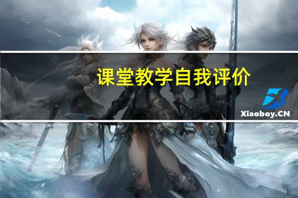 课堂教学自我评价