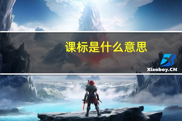 课标是什么意思