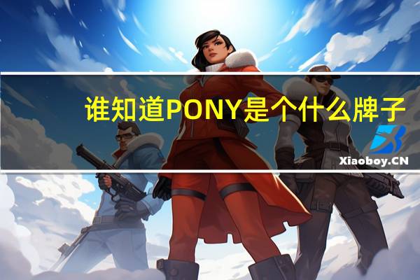 谁知道PONY是个什么牌子