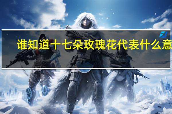 谁知道十七朵玫瑰花代表什么意思