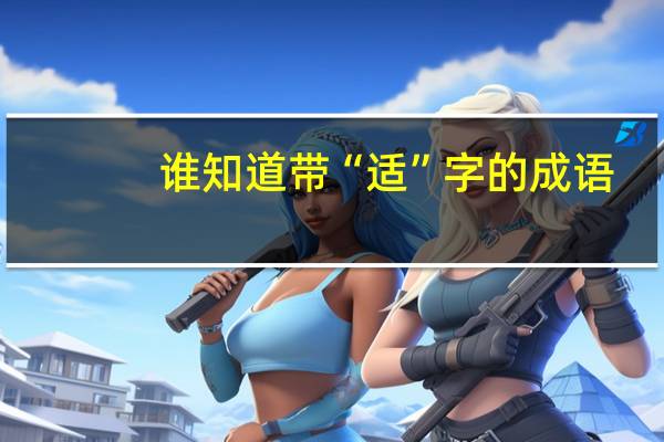 谁知道带“适”字的成语