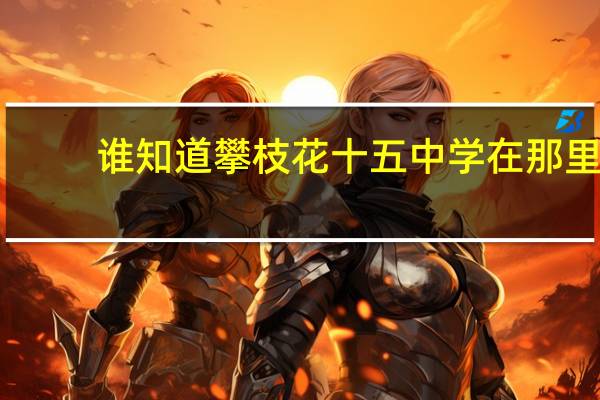 谁知道攀枝花十五中学在那里