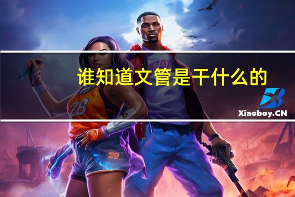 谁知道文管是干什么的
