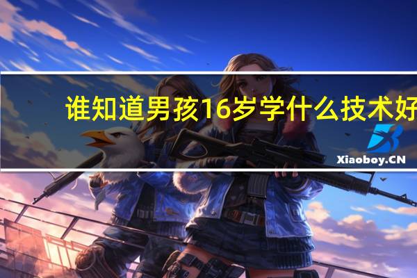 谁知道男孩16岁学什么技术好