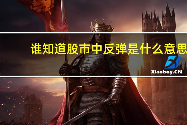 谁知道股市中反弹是什么意思