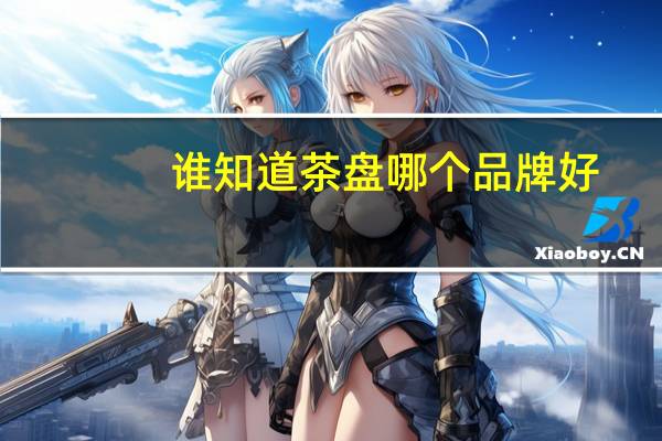 谁知道茶盘哪个品牌好