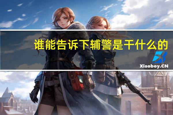 谁能告诉下辅警是干什么的