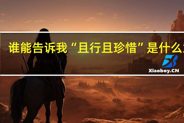 谁能告诉我“且行且珍惜”是什么意思