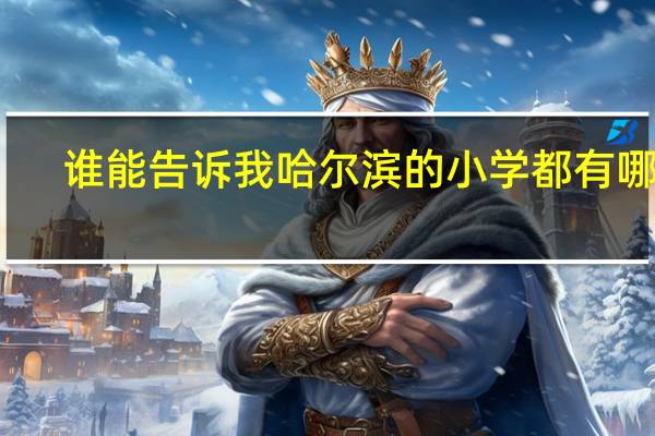 谁能告诉我哈尔滨的小学都有哪些