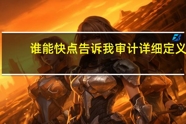 谁能快点告诉我审计详细定义