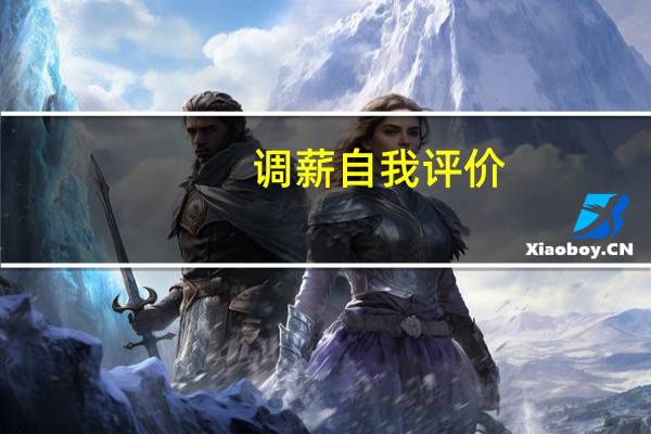 调薪自我评价