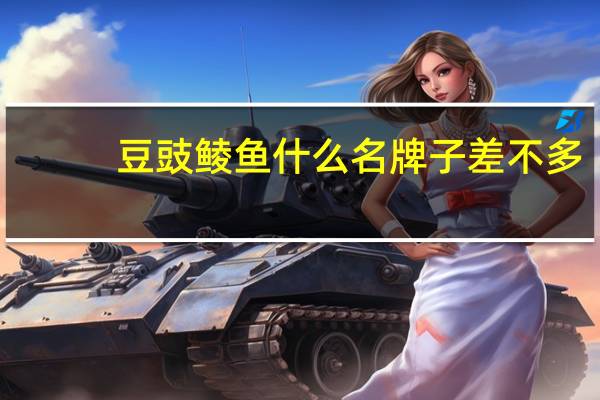豆豉鲮鱼什么名牌子差不多