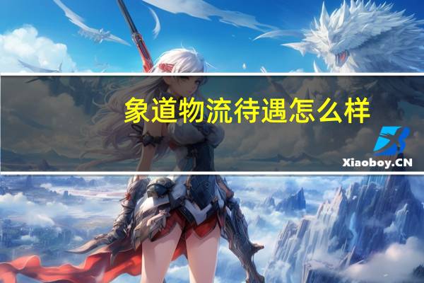 象道物流待遇怎么样