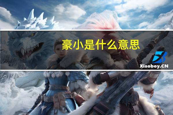 豪小是什么意思