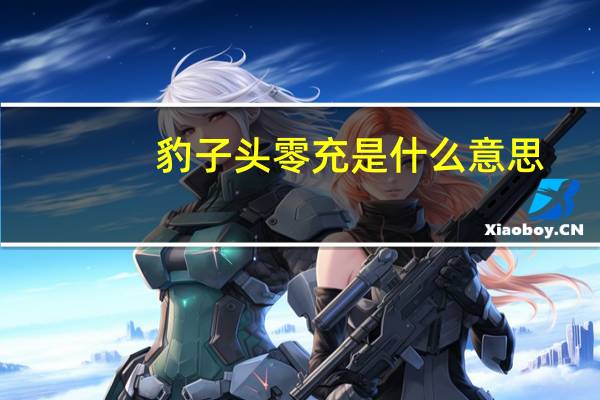 豹子头零充是什么意思