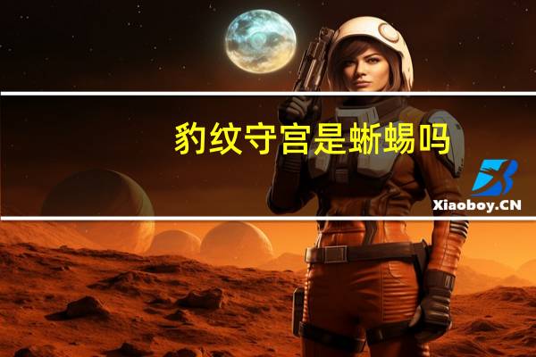 豹纹守宫是蜥蜴吗