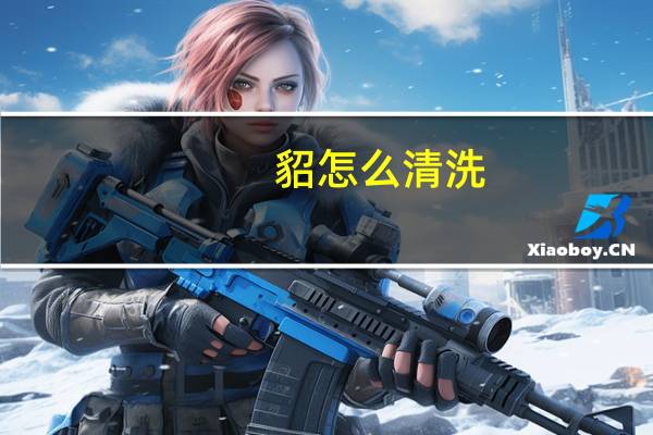 貂怎么清洗