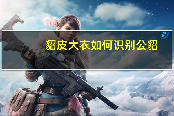 貂皮大衣如何识别公貂,母貂