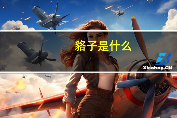 貉子是什么