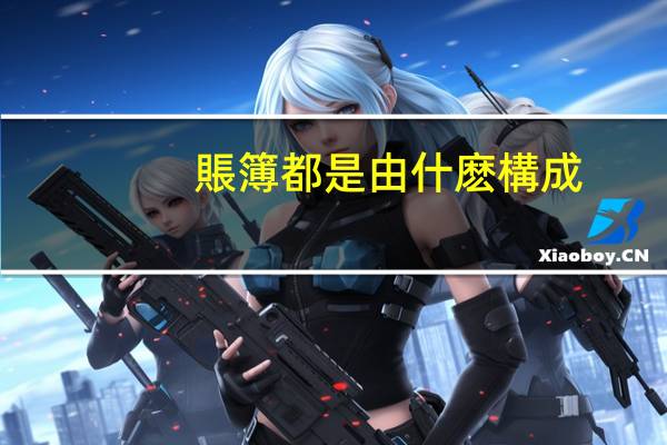 賬簿都是由什麽構成