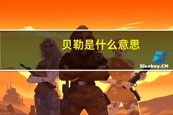 贝勒是什么意思