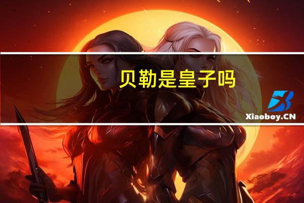 贝勒是皇子吗