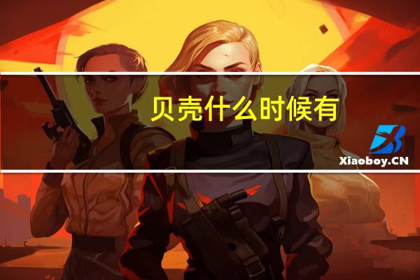 贝壳什么时候有