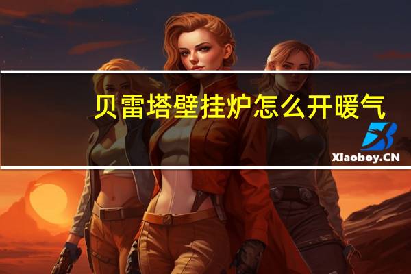 贝雷塔壁挂炉怎么开暖气