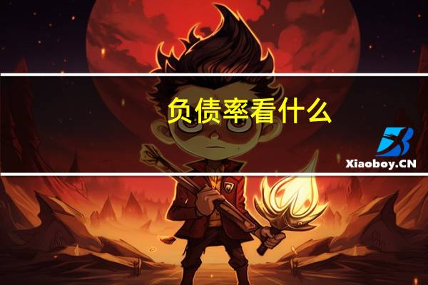 负债率看什么