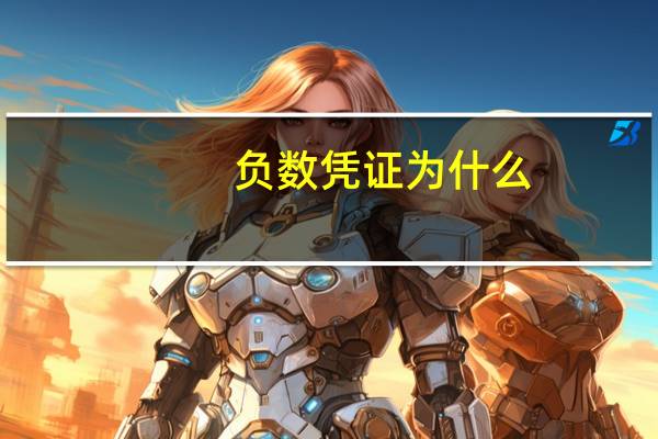 负数凭证 为什么