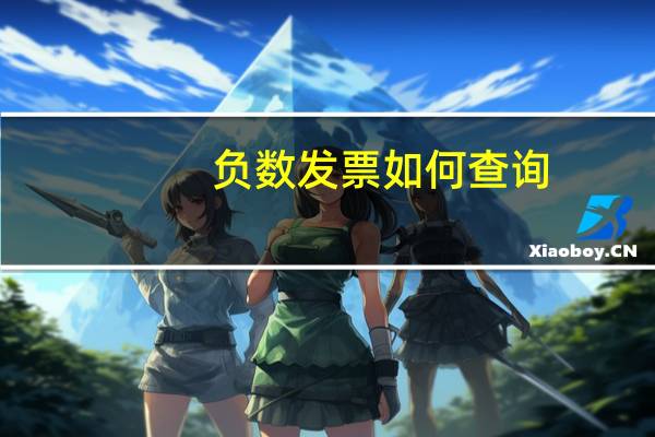 负数发票如何查询